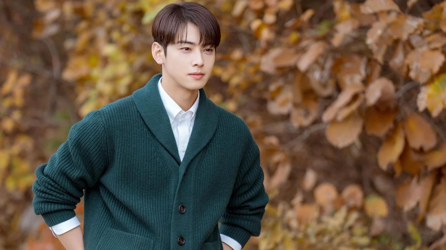 Cha Eun-woo's 13 Billion Won Tax Story Changed. Here's Why.