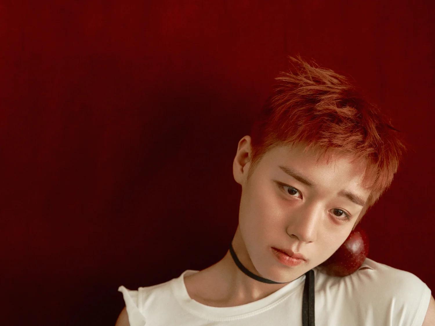 Park Jihoon Expands RE:FLECT With Seoul and Tokyo Fan Concerts.