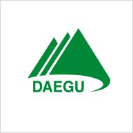 Daegu Metropolitan Government